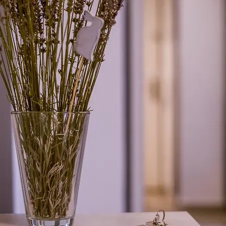 Apartment Balokany *